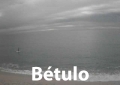 betulo